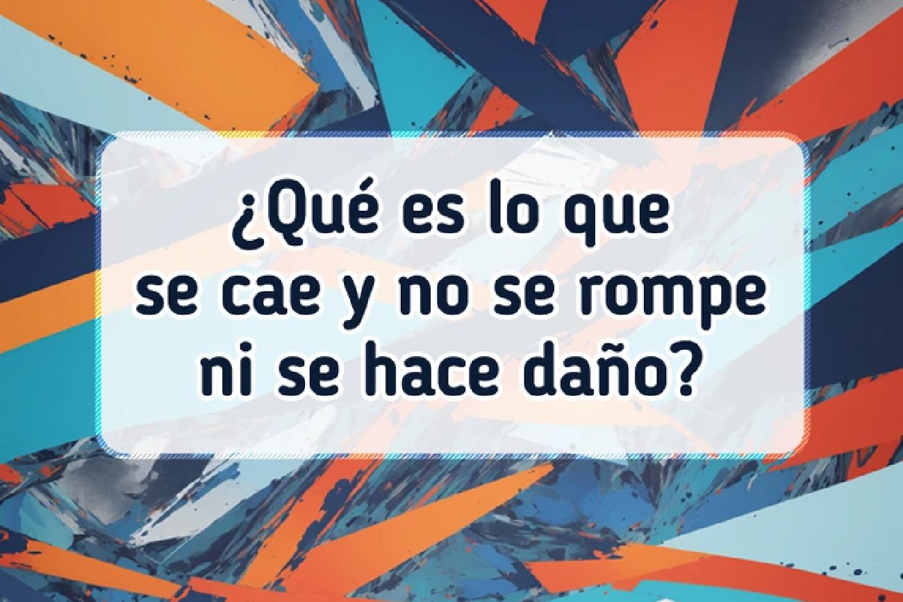 El acertijo visual.
