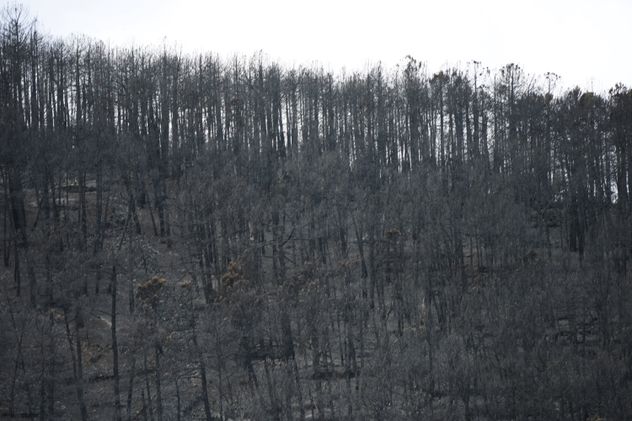 Incendios descontrolados en España: Pedro Sánchez admite que “la situación es compleja”