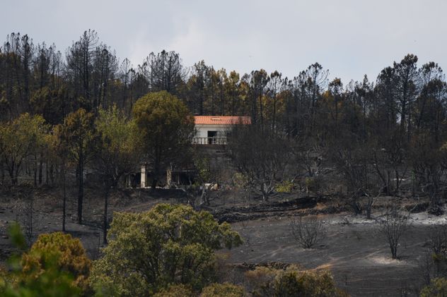 Incendios descontrolados en España: Pedro Sánchez admite que “la situación es compleja”