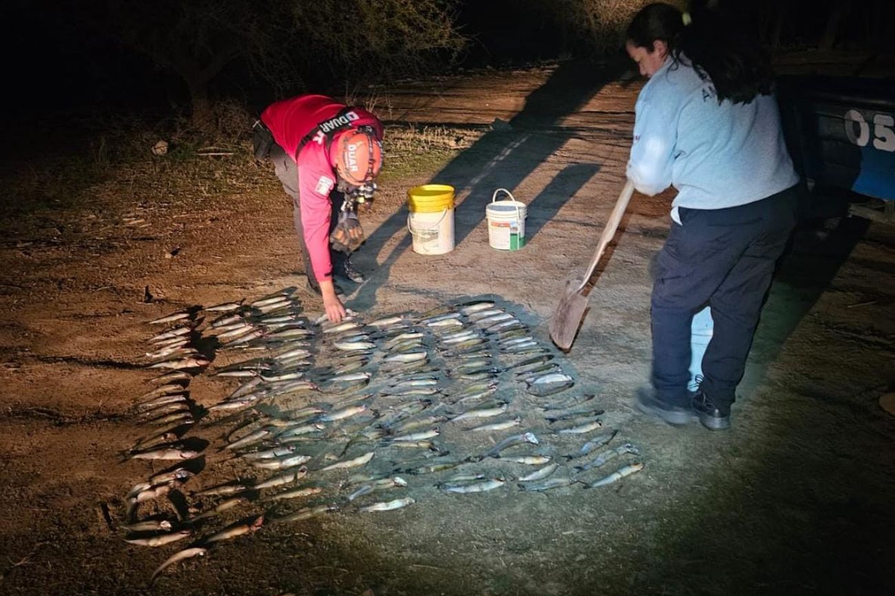 Dique La Viña: secuestraron 255 pejerreyes y sancionaron a pescadores por superar el cupo permitido