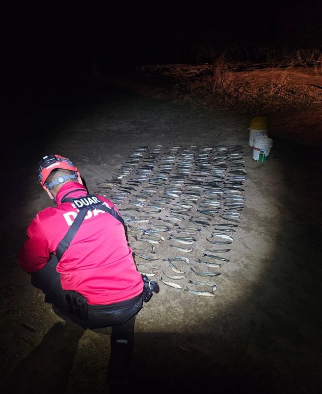 Dique La Viña: secuestraron 255 pejerreyes y sancionaron a pescadores por superar el cupo permitido