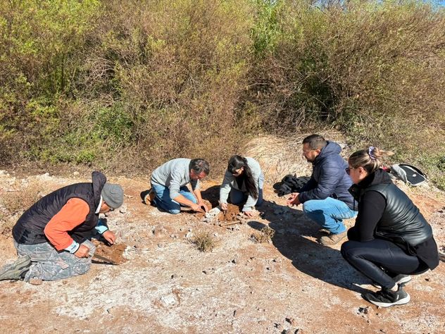 Fauna extinguida. Extracción de restos de un gliptodonte en la zona de Marull, ceca de la laguna Mar Chiquita. 