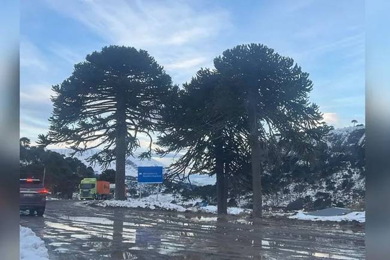  Paso Pino Hachado, en Neuquén. 