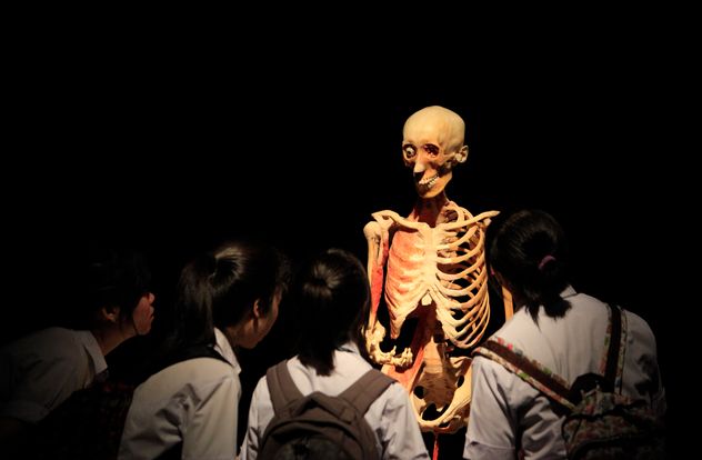 Murió Gunther von Hagens.