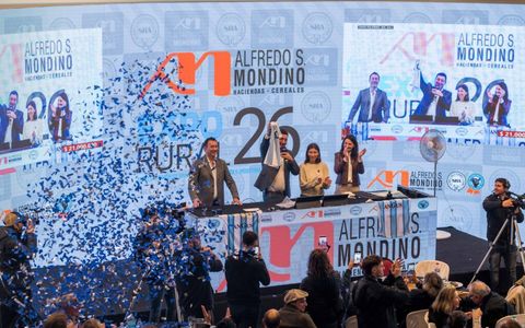 REMATE EN LA RURAL. En una subasta ganadera de 22 mil animales, organizada por una consignataria cordobesa, se remató una camiseta firmada por Messi con fines solidarios.