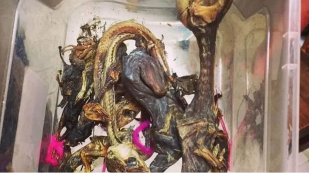 Desbarataron la banda de la "magia negra" y les secuestraron 61 kilos de cocaína.