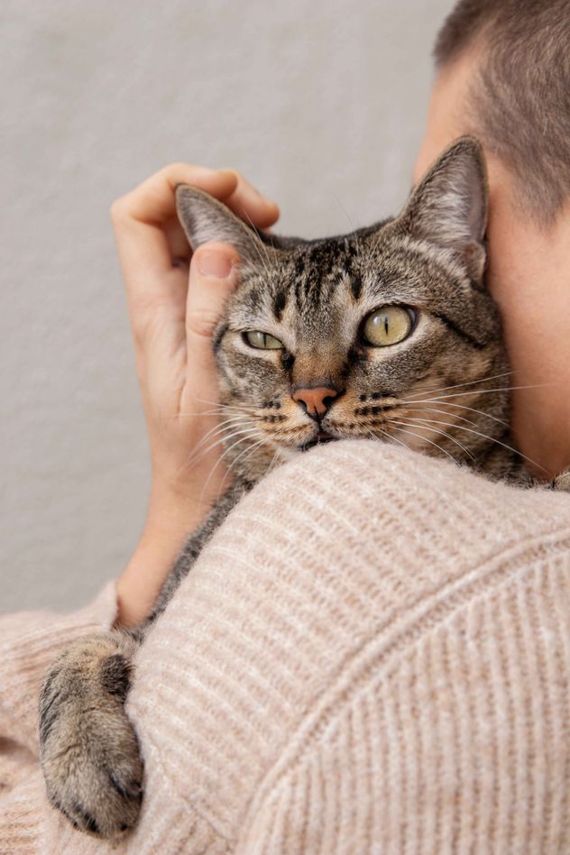 Comportamiento de los gatos. 