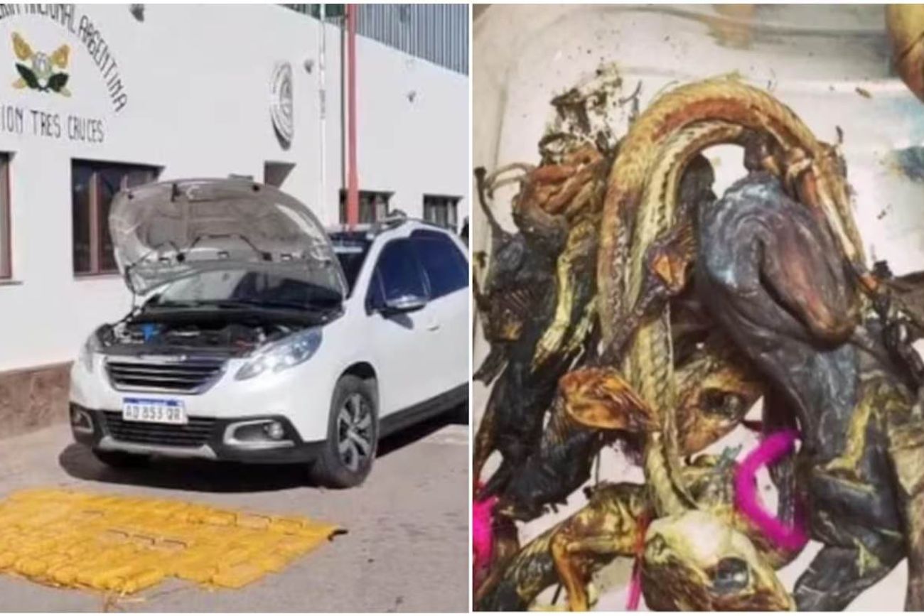 Desbarataron la banda de la "magia negra" y les secuestraron 61 kilos de cocaína.