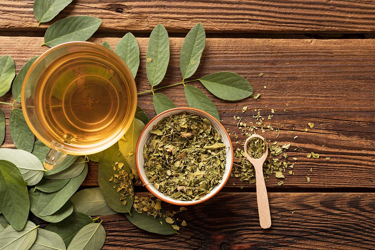 Moringa oleifera. La planta que desintoxica hígado e intestino: cómo usarla bien para aprovechar todos sus beneficios. (Freepik)