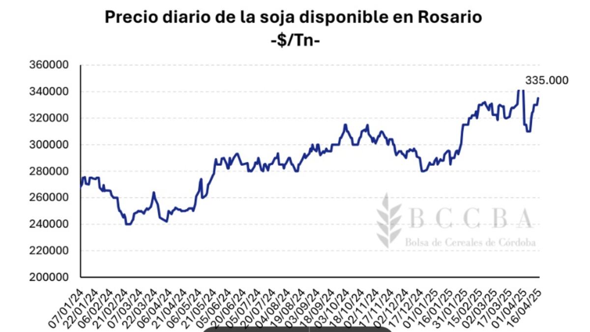 Infome soja maíz