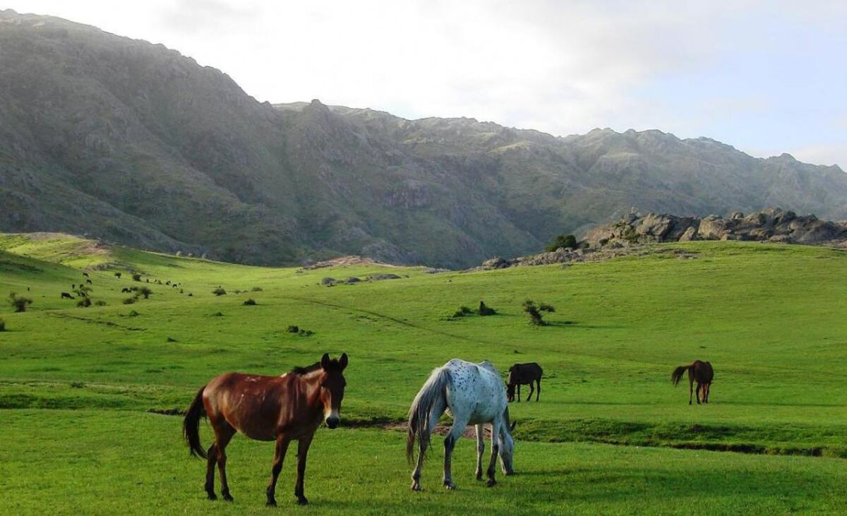 20 lugares que tenés que conocer en Córdoba (para poder decir que conocés Córdoba)
