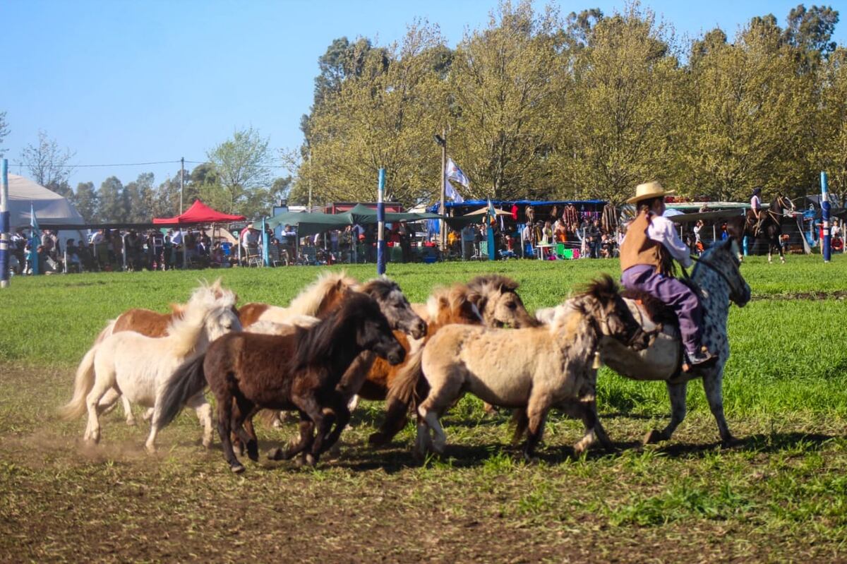 Jesús María. Helena ama a los caballos desde pequeña (Gentileza).