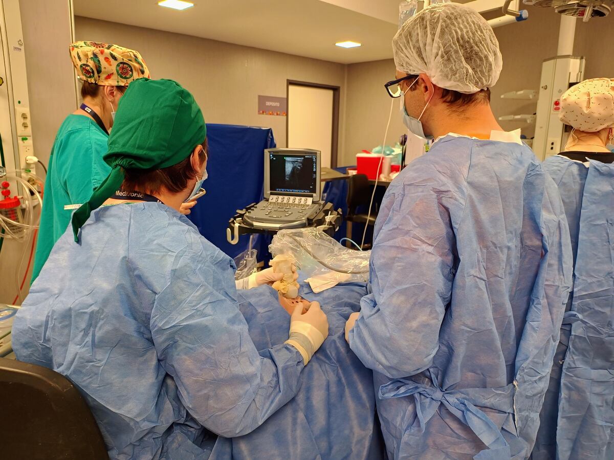 Realizaron la primera ablación con microondas en el Nuevo Hospital San Roque. (Gobierno de Córdoba)