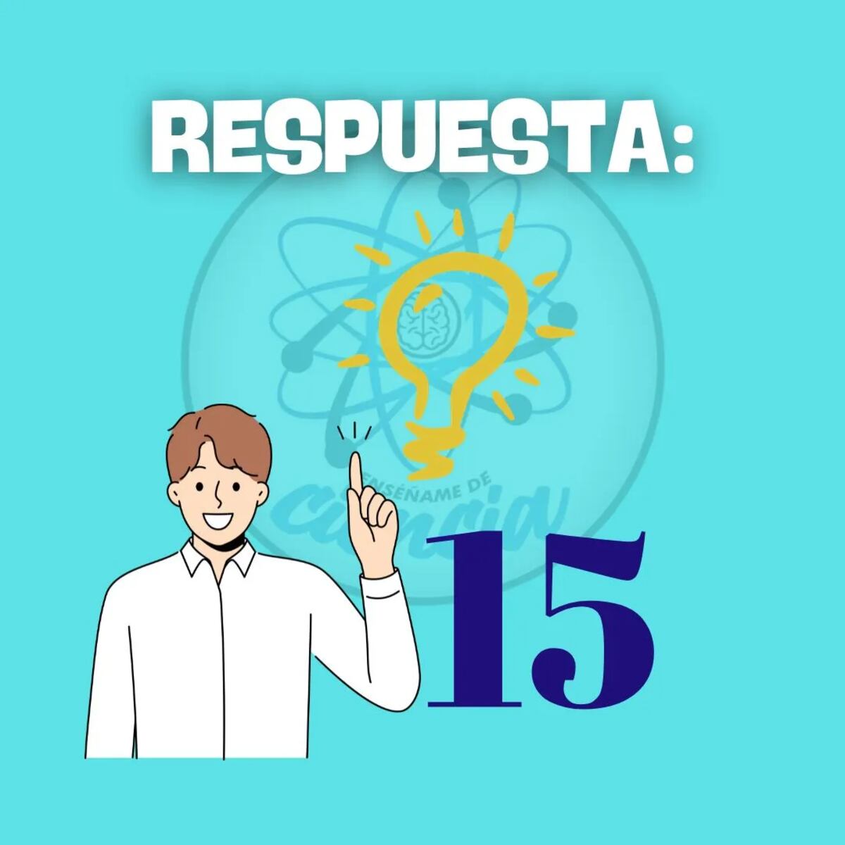 La solución del acertijo visual.
