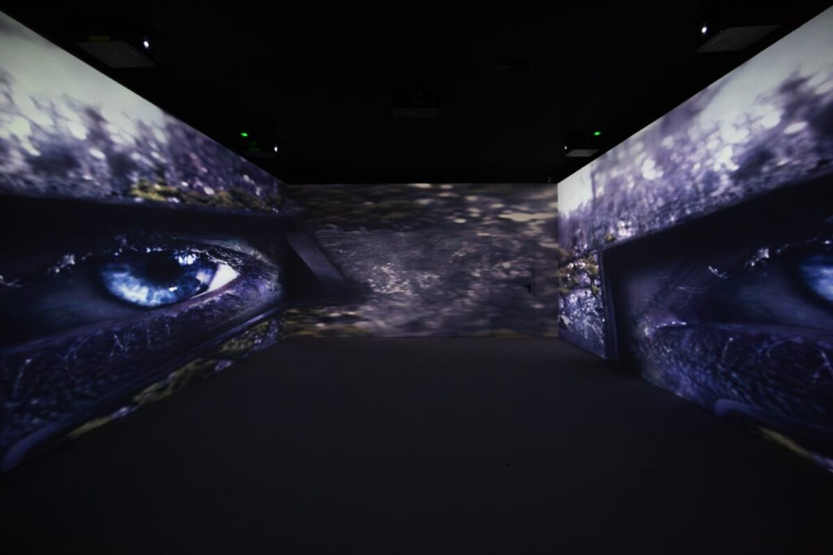 “Viajar sin moverse”: la tendencia de realidad virtual que redefine el turismo global