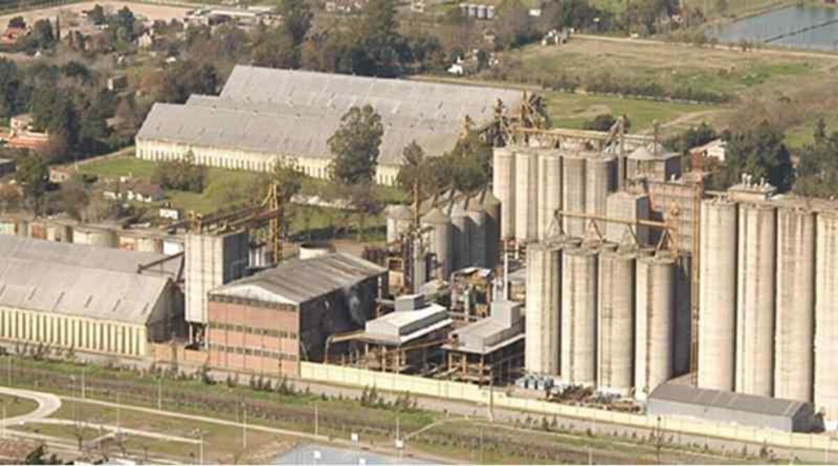 Molino Cañuelas logró alcanzar un acuerdo con los acreedores, pero está condicionada por el costo financiero.
