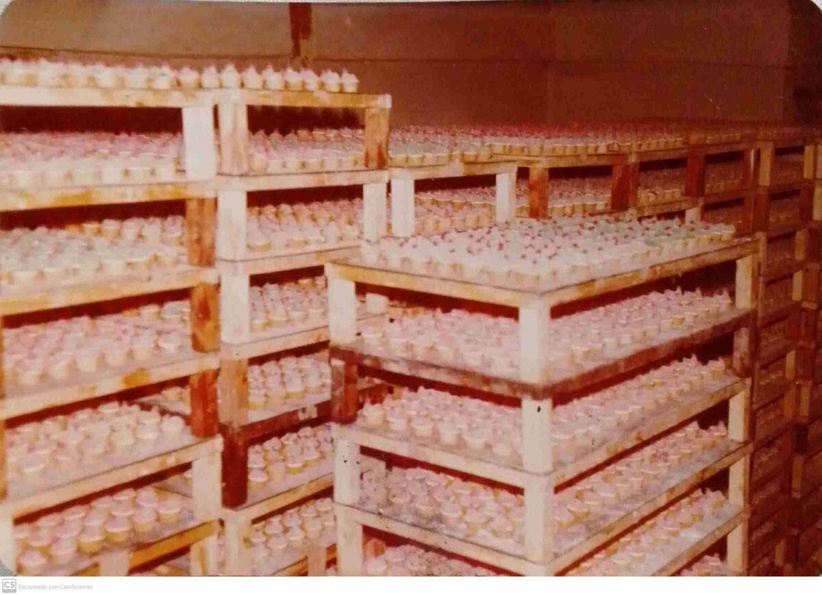 La fábrica de la Gallinita Pío Pío. (Cosas Nuestras Alta Gracia)