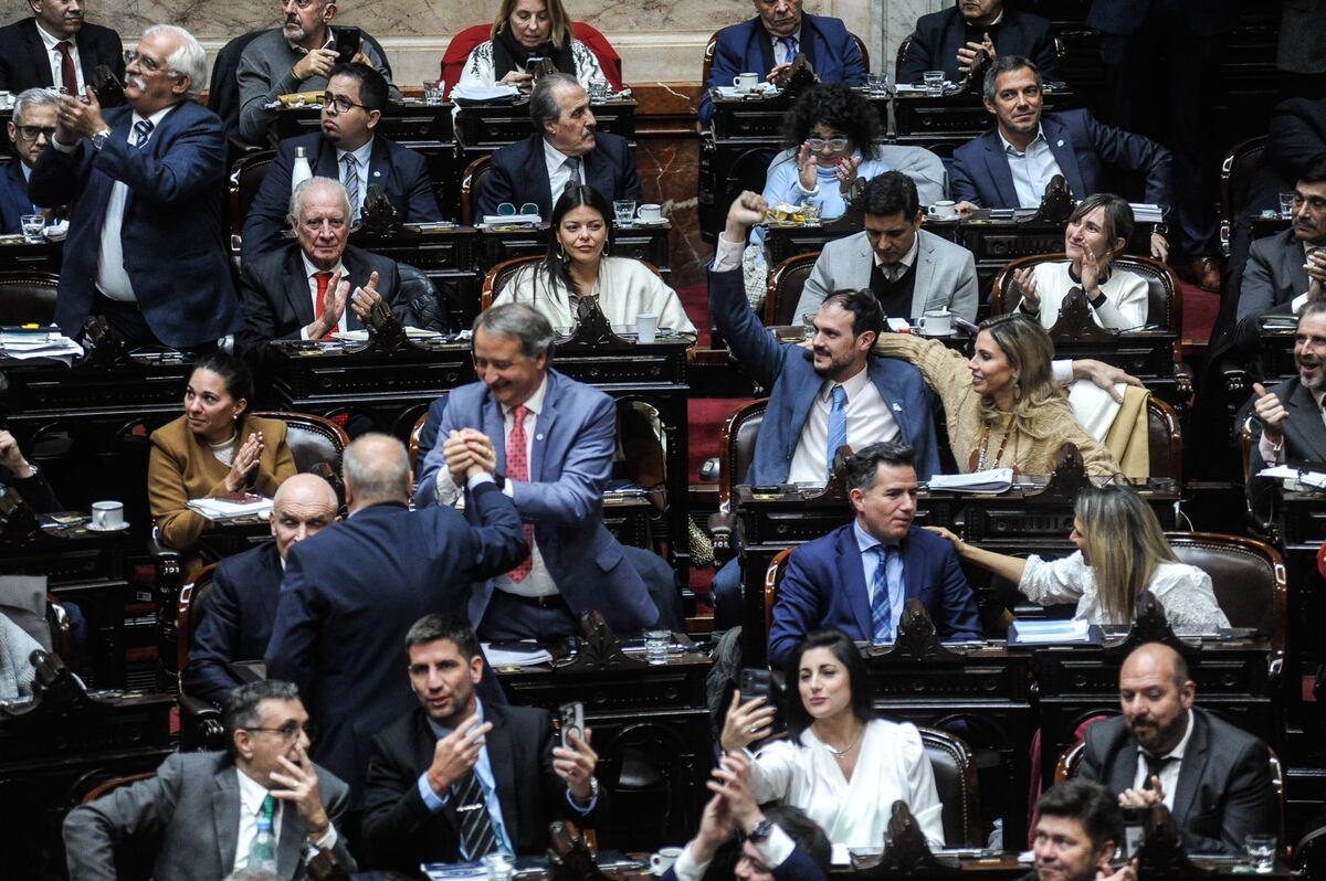 Diputados celebran la aprobación de la Ley Bases. (Federico López Claro)