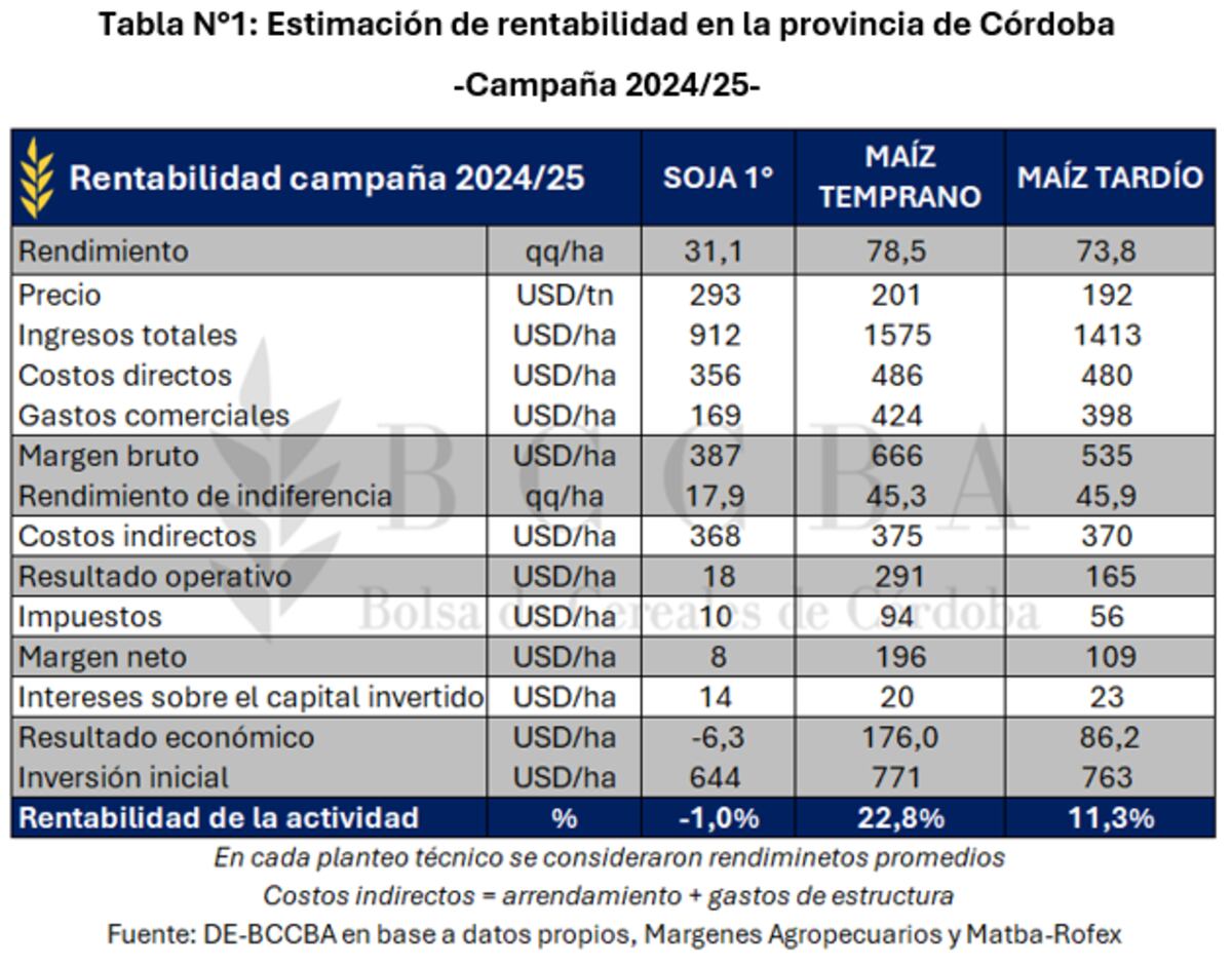 Maíz Córdoba