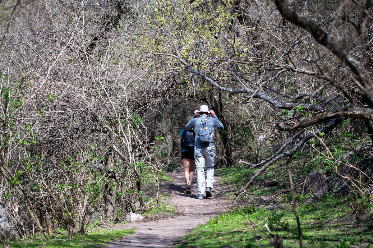 Caminatas por senderos naturales. (Turismo Río Ceballos)