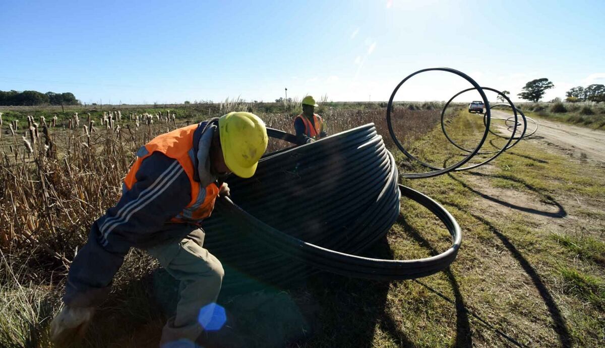 El tendido de fibra óptica, clave para la conectividad, ha crecido en los últimos años, pero aún no impacta de modo igual en todo territorio.