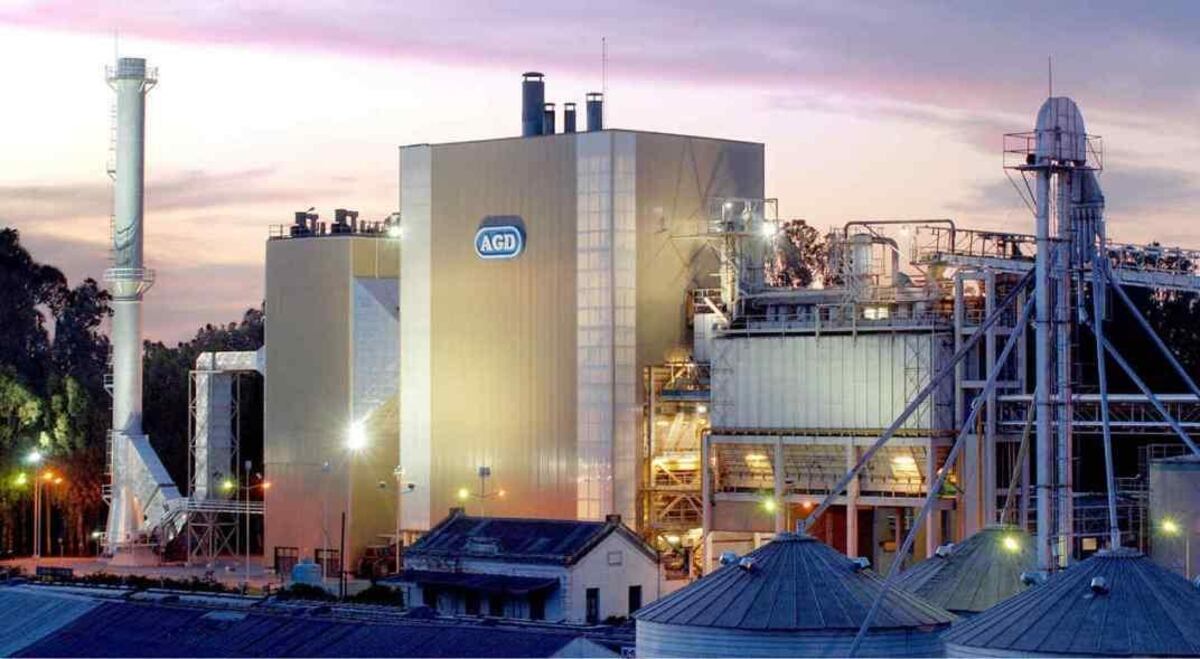 Una empresa cordobesa, sexta entre las mayores agroexportadores del país
