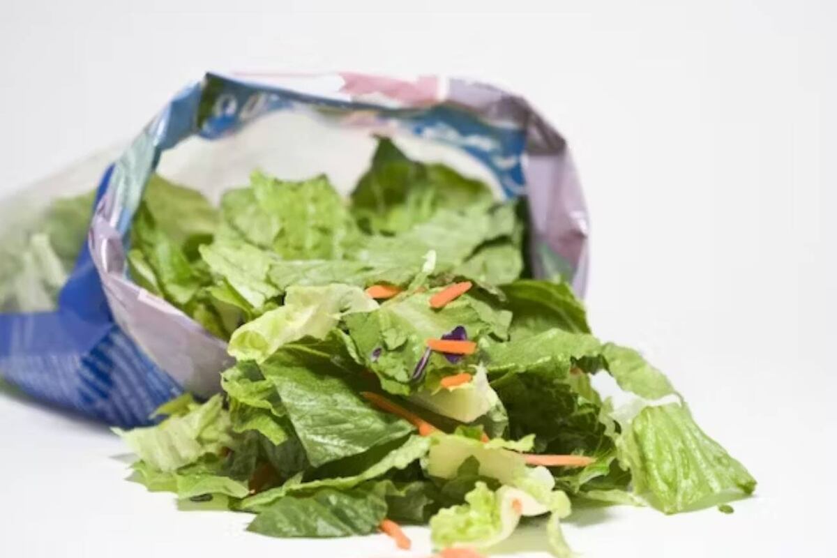 Cada año, millones de personas en el mundo se intoxican con alimentos, la mayoría por contaminación vírica o bacteriana. (Shutterstock)