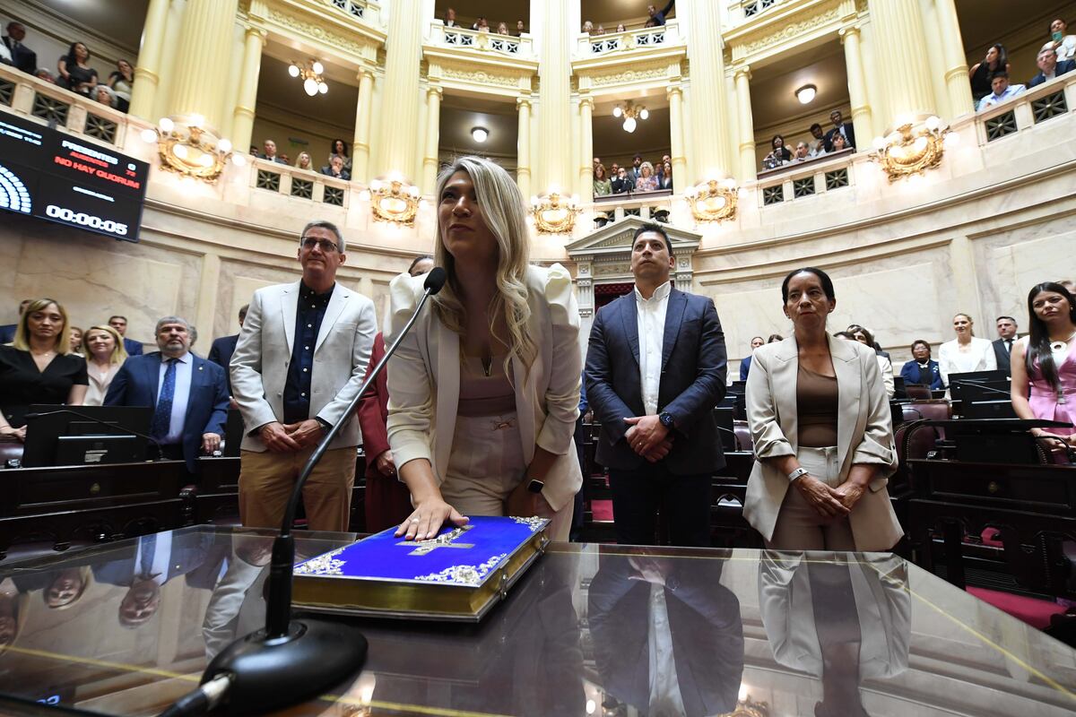 Juró la libertaria neuquina Nadia Márquez, candidata a ocupar la Presidencia Provisional del Senado (Foto: Comunicación Senado)