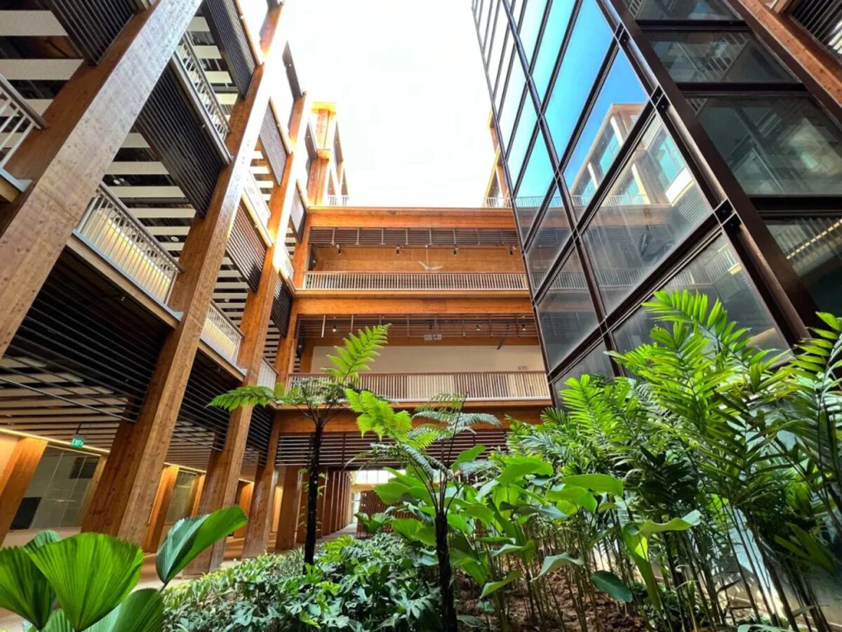 En los últimos años, aumentó considerablemente el número de grandes estructuras de madera construidas en todo el mundo.