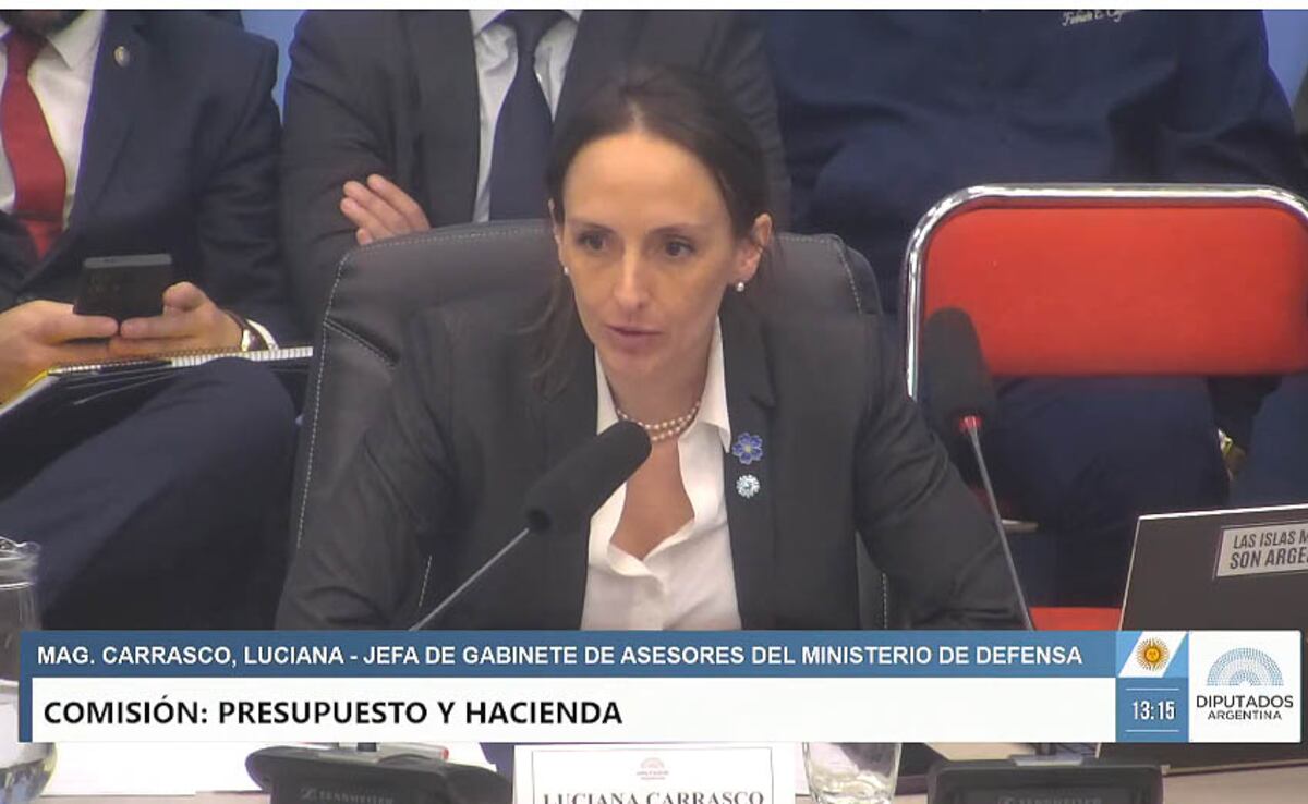 Fadea: la jefa de Gabinete del ministerio de Defensa, Luciana Carrasco, en el Congreso. (La Voz)