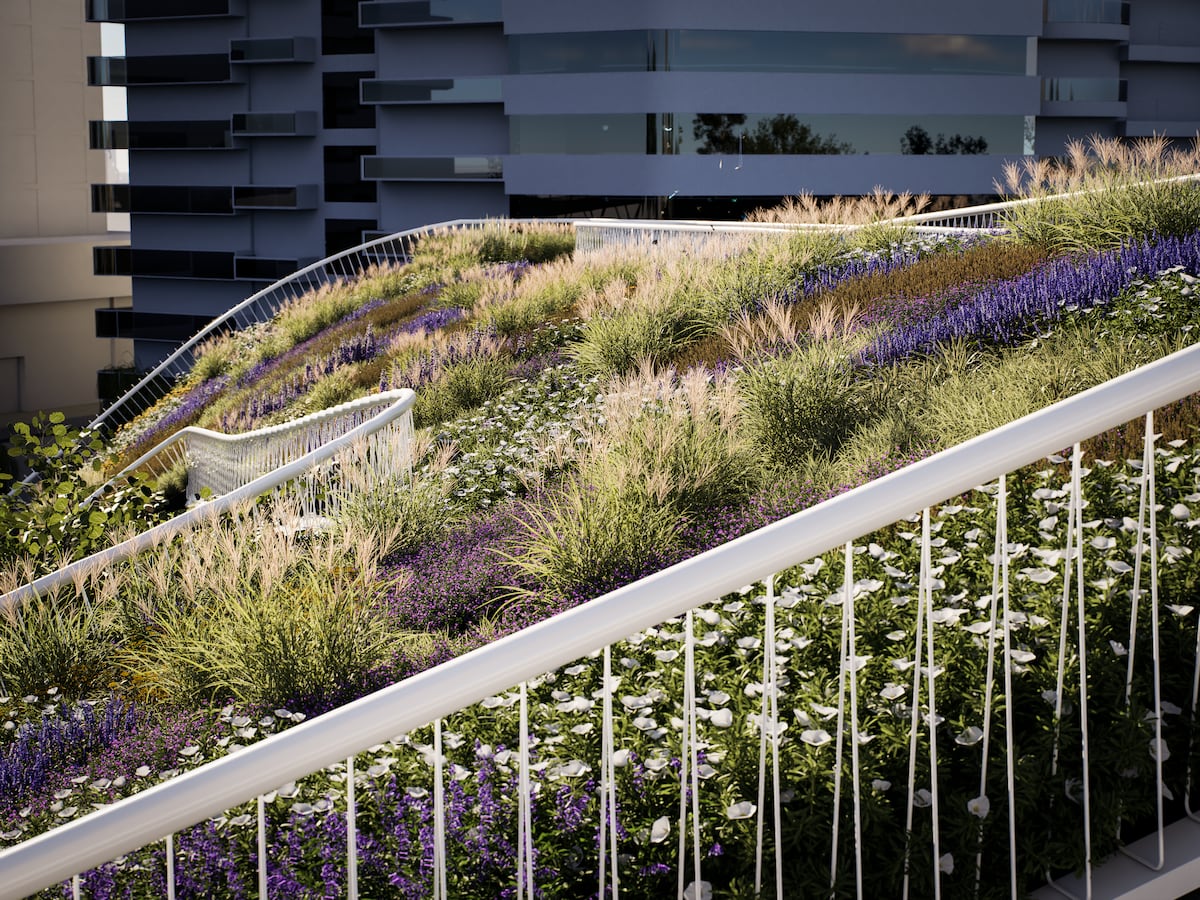 El proyecto incorpora una gran variedad de especies nativas que atraen mariposas y aves, reforzando la biodiversidad en pleno centro de la ciudad. (Render Gobierno de Córdoba)
