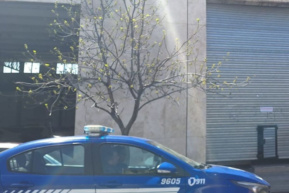 Secuestraron una gran cantidad de teléfonos celulares por maniobras sospechosas con ventas de automóviles. (Policía).