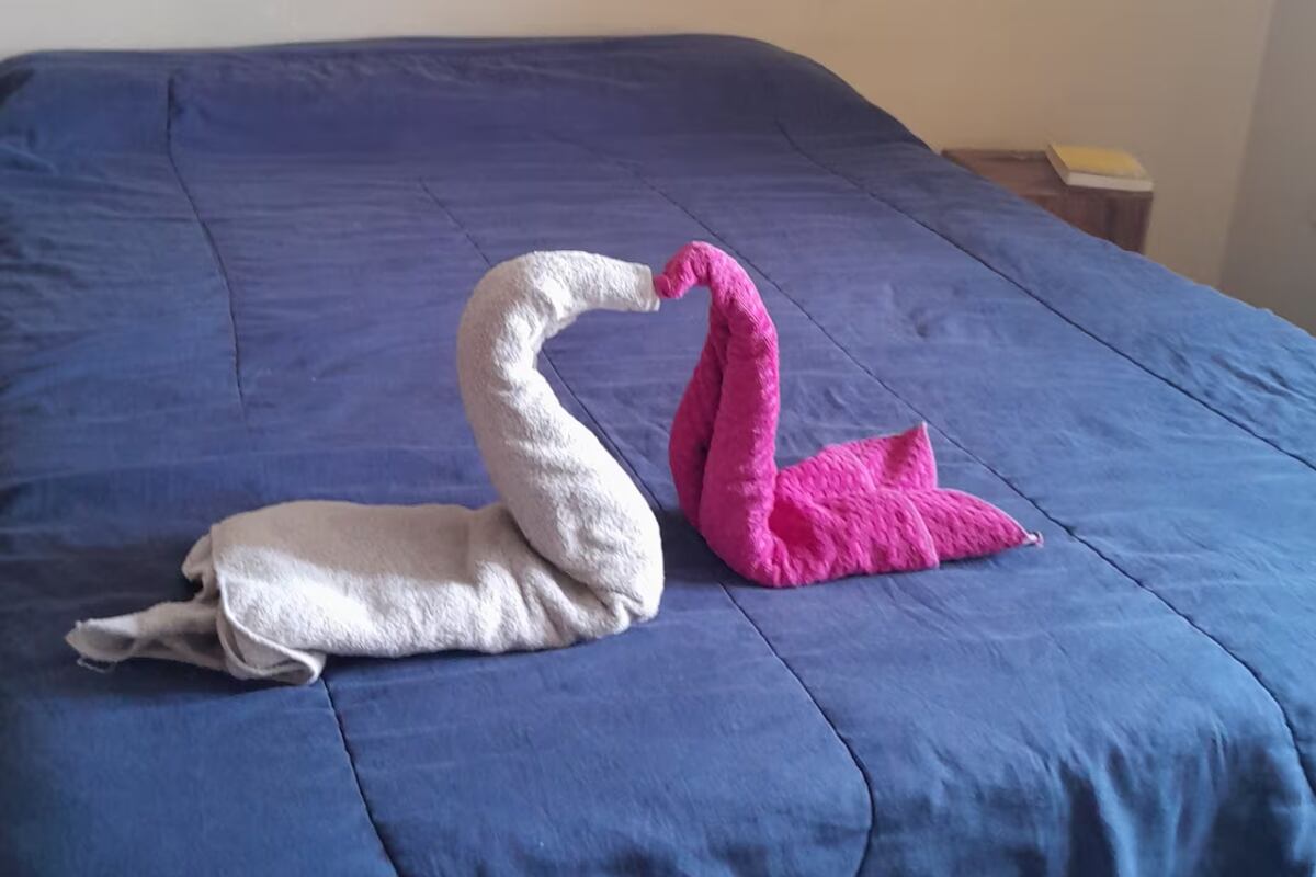 Fue a Buenos Aires, su hermana le prestó el departamento y le dejó un “regalo” que hizo reír a todos.