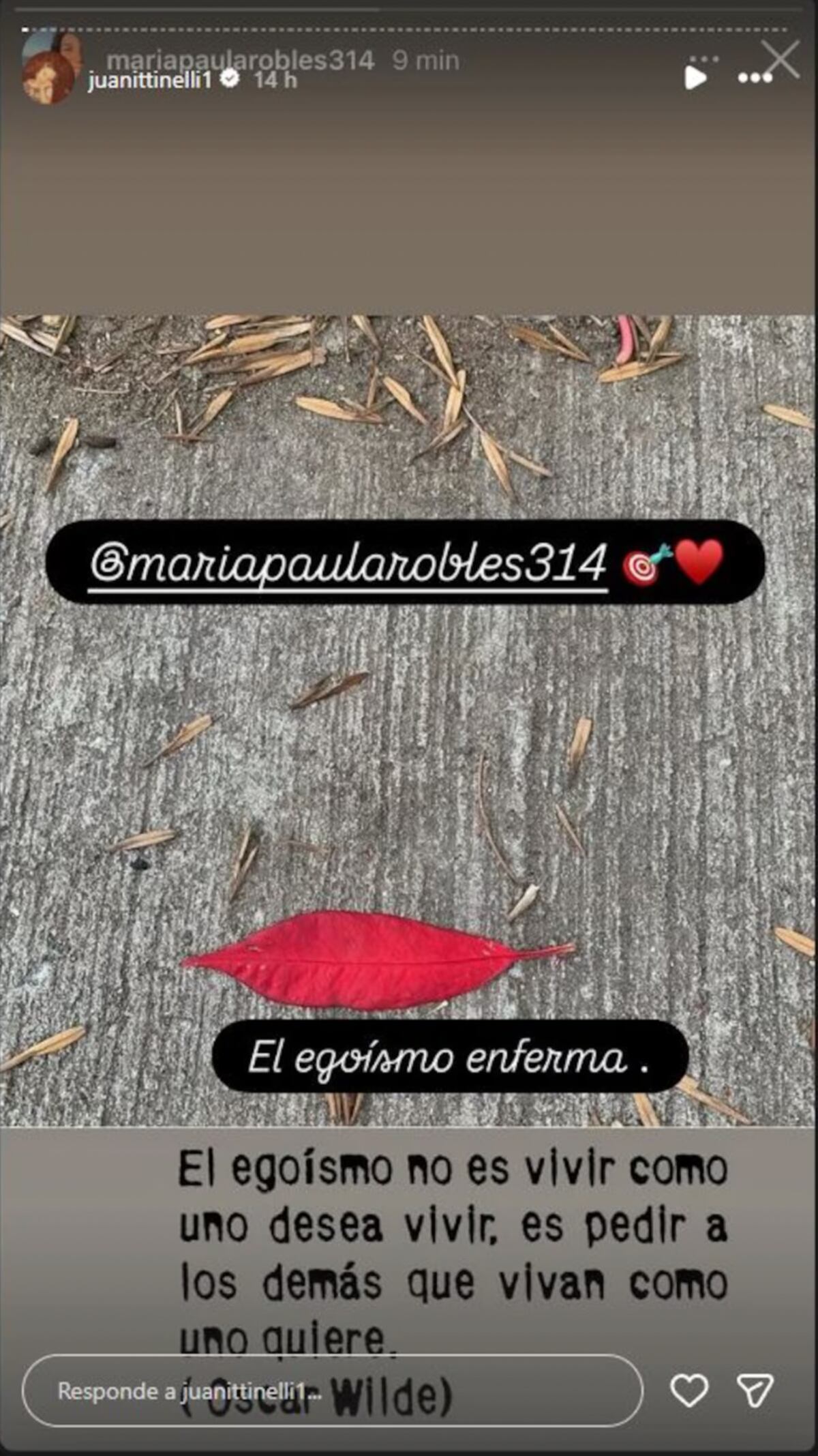 La publicación de Paula Robles que Juana Tinelli compartió en sus redes. (Foto: Captura de pantalla)