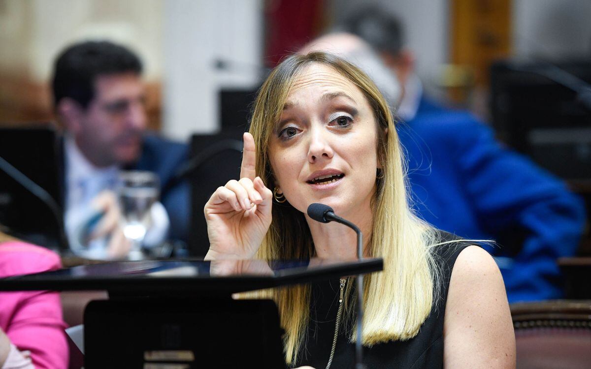 La senadora nacional Anabel Fernández Sagasti pidió la exclusión del senador Kueider. Foto: @SenadoArgentina