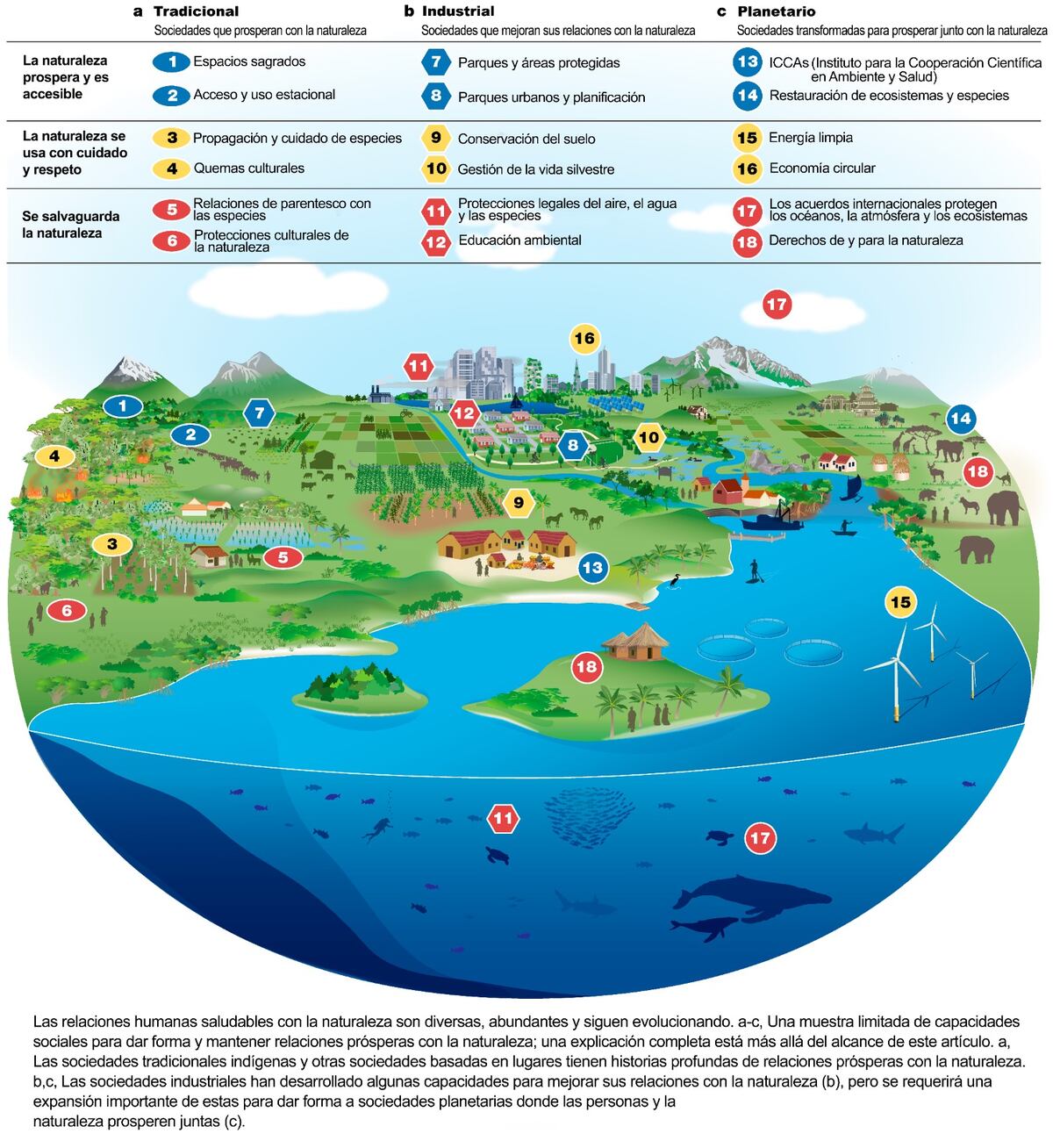 Las relaciones humanas saludables con la naturaleza son diversas, abundantes y siguen evolucionando. A-C, una muestra limitada de capacidades sociales para dar forma y mantener relaciones prósperas con la naturaleza; una descripción completa está más allá del alcance de este artículo. A: las sociedades indígenas tradicionales y otras sociedades basadas en lugares tienen historias profundas de relaciones prósperas con la naturaleza. B, C, las sociedades industriales desarrollaron algunas capacidades para mejorar sus relaciones con la naturaleza (B), pero se requerirá una expansión importante de estas para dar forma a sociedades planetarias donde las personas y la naturaleza prosperen juntas (C). (Universidad de Oxford)