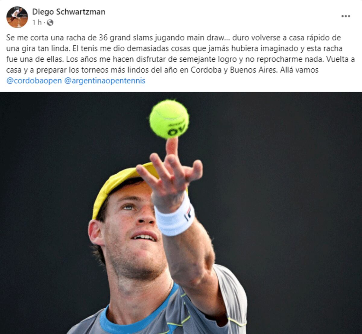 El posteo de Diego Schwartzman tras su eliminación en la qualy del Australian Open. (Facebook Diego Schwartzman)