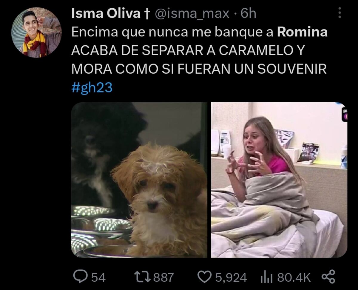"Gran Hermano": los memes tras la eliminación de Romina (Captura de pantalla)