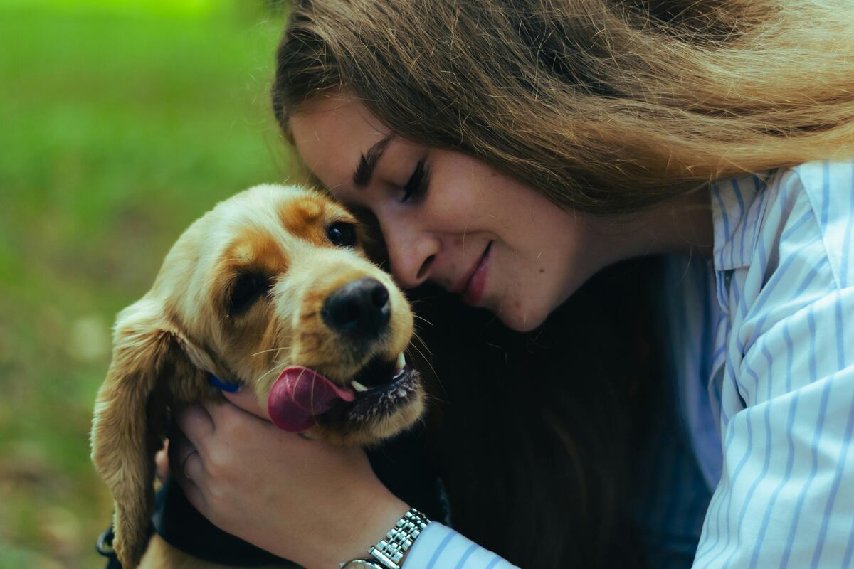 Las razas de perros ideales como primera mascota