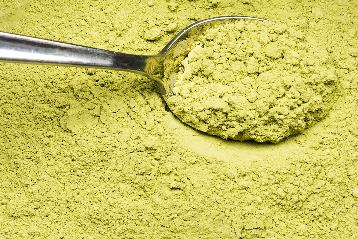 Moringa oleifera. La planta que desintoxica hígado e intestino: cómo usarla bien para aprovechar todos sus beneficios. (Freepik)