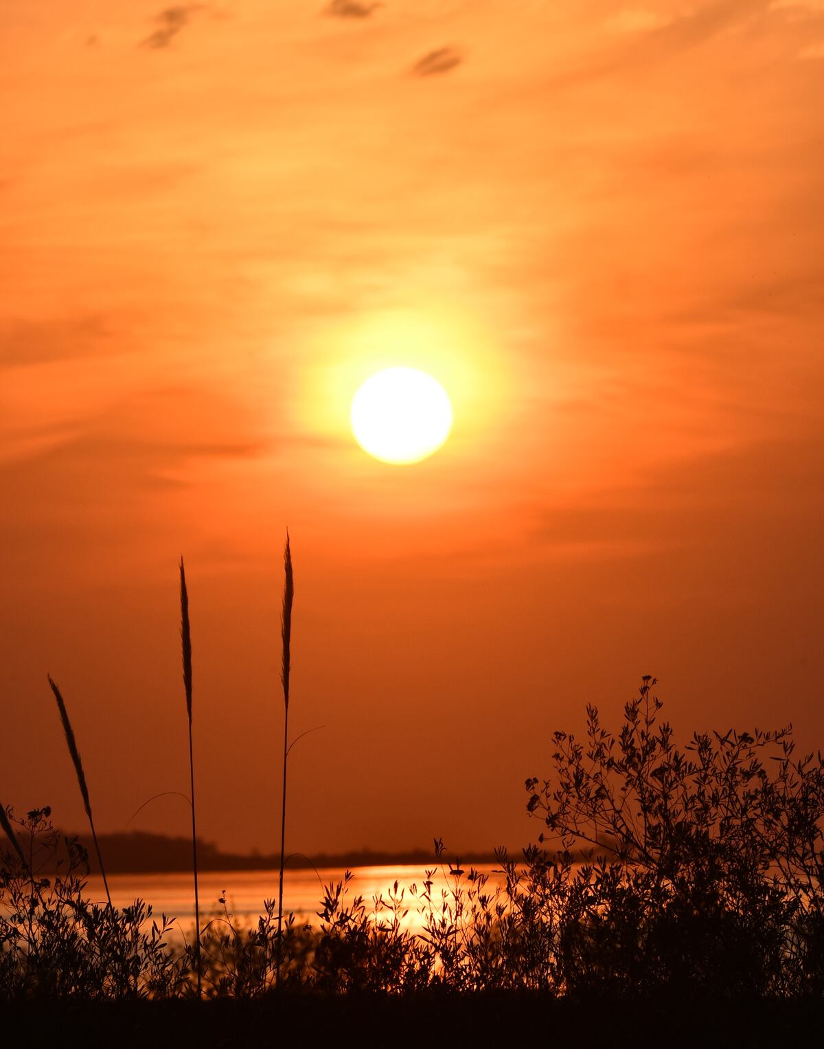 Maravilla al atardecer. Ansenuza ofrece uno de los atardeceres más hermosos de Córdoba. La creación del Parque y Reserva Nacional tiene la finalidad de proteger el patrimonio natural y cultural. (Gentileza: Yanina Druetta)
