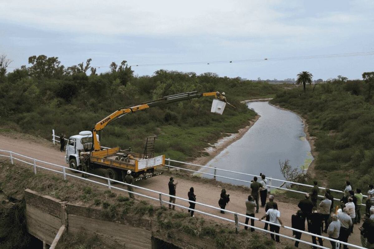 La combinación de bandas luminosas permanentes y franjas reflectantes amarillas garantizan visibilidad las 24 horas. (Provincia)