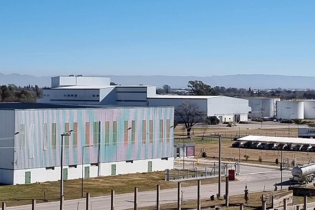 El parque cuenta con un sistema de vigilancia termográfica con inteligencia artificial y más de 20 cámaras que monitorean todo el predio.