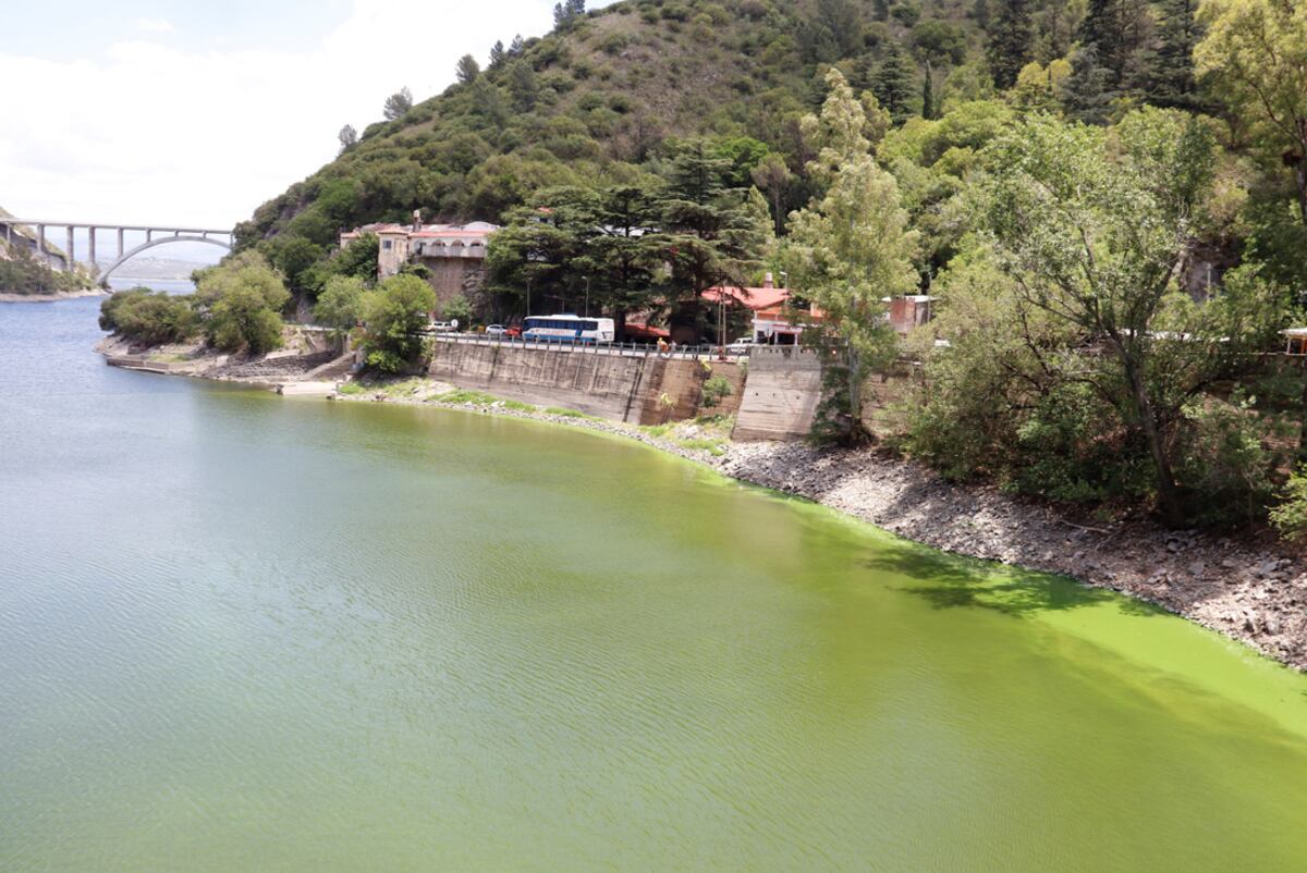 Por estos días, las algas son más visibles en la zona del dique. (La Voz)