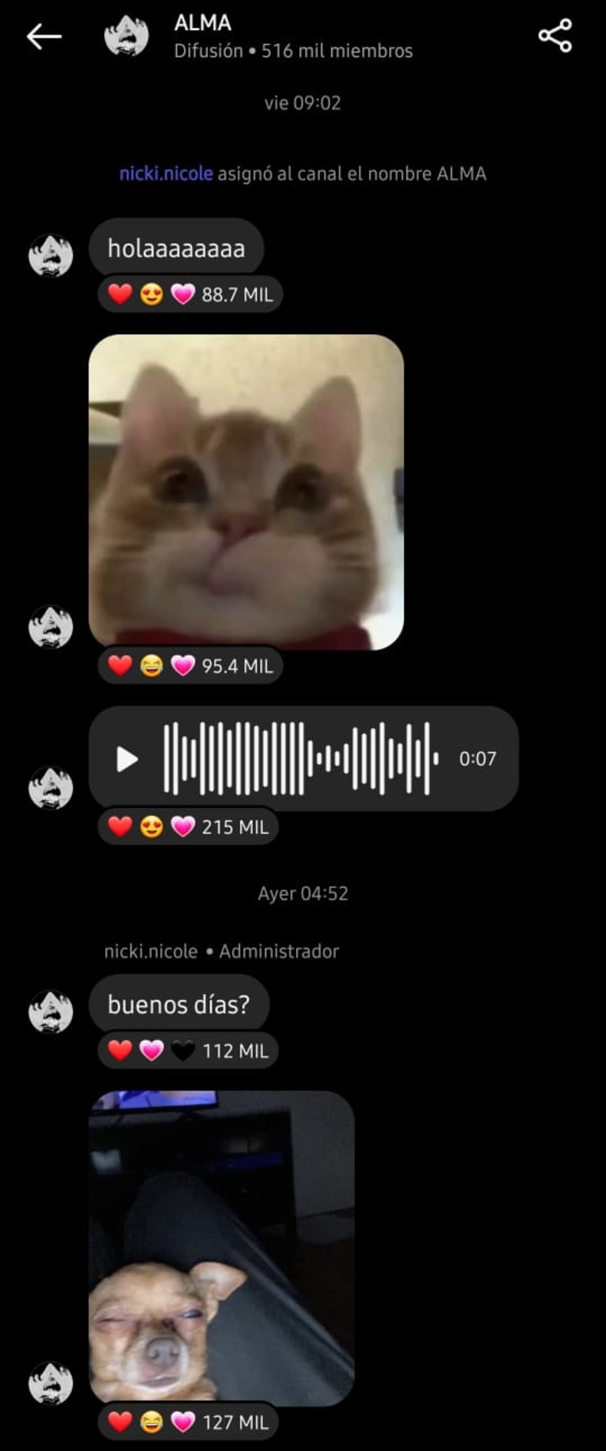Nicki Nicole enloqueció a sus fans con los mensajes de su canal de difusión (Captura de pantalla)
