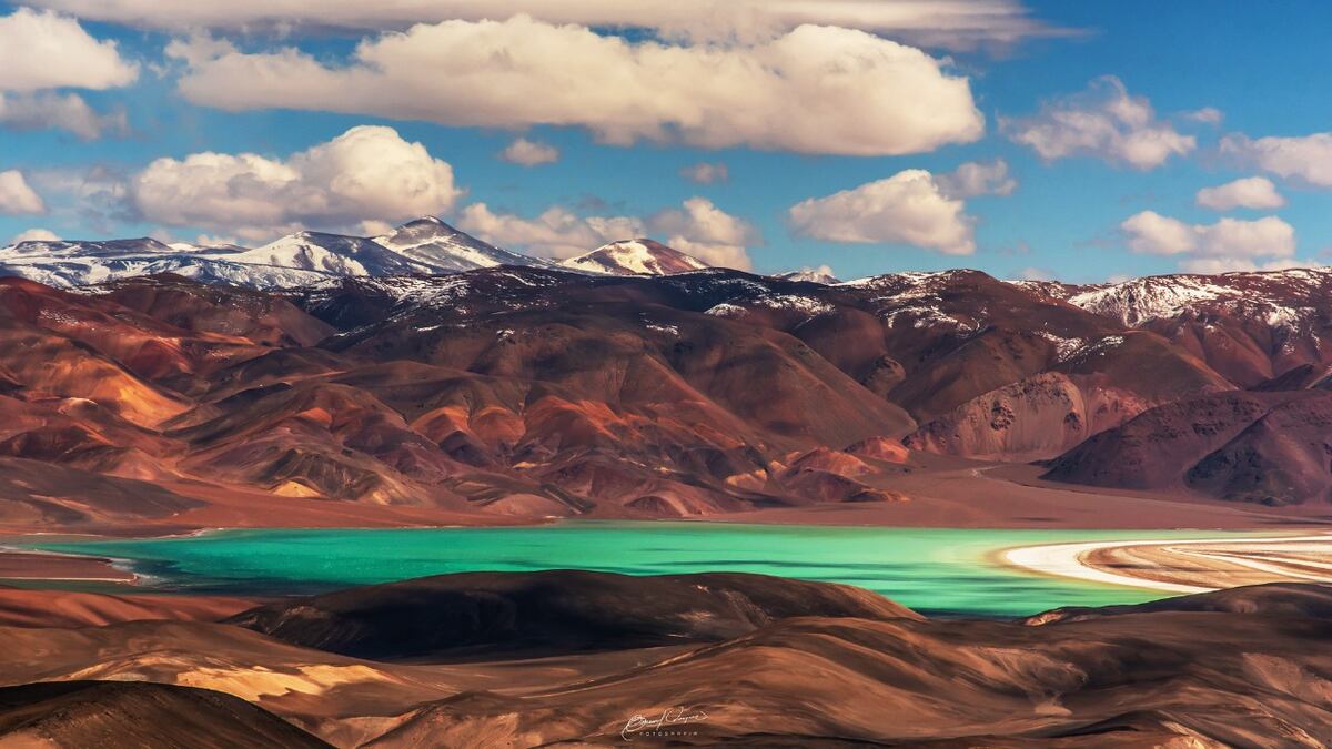 Donde el desierto se une con el vino: un refugio escondido en el norte argentino