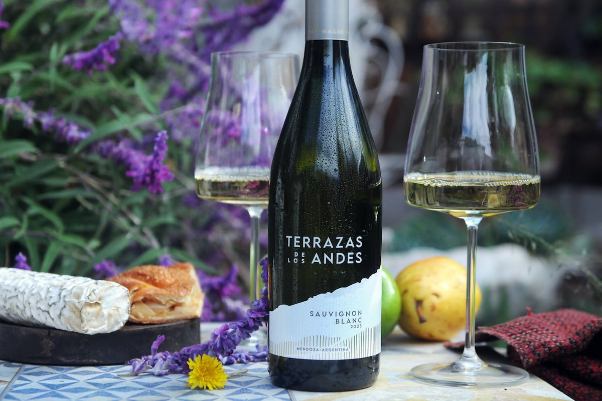 Selección de vinos sauvignon blanc: etiquetas recomendadas. (javier Ferreyra).