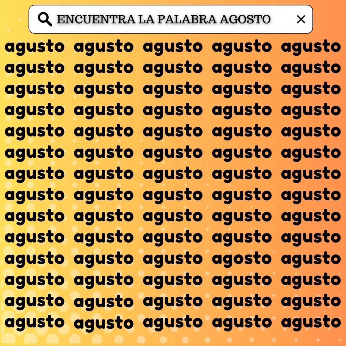 El acertijo visual.