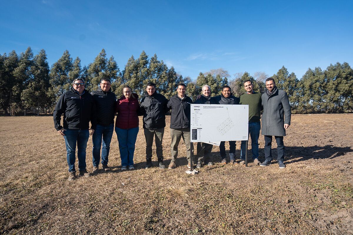 La empresa puso en marcha un ensayo propio en su Planta Procesadora de Semillas (Pilar).