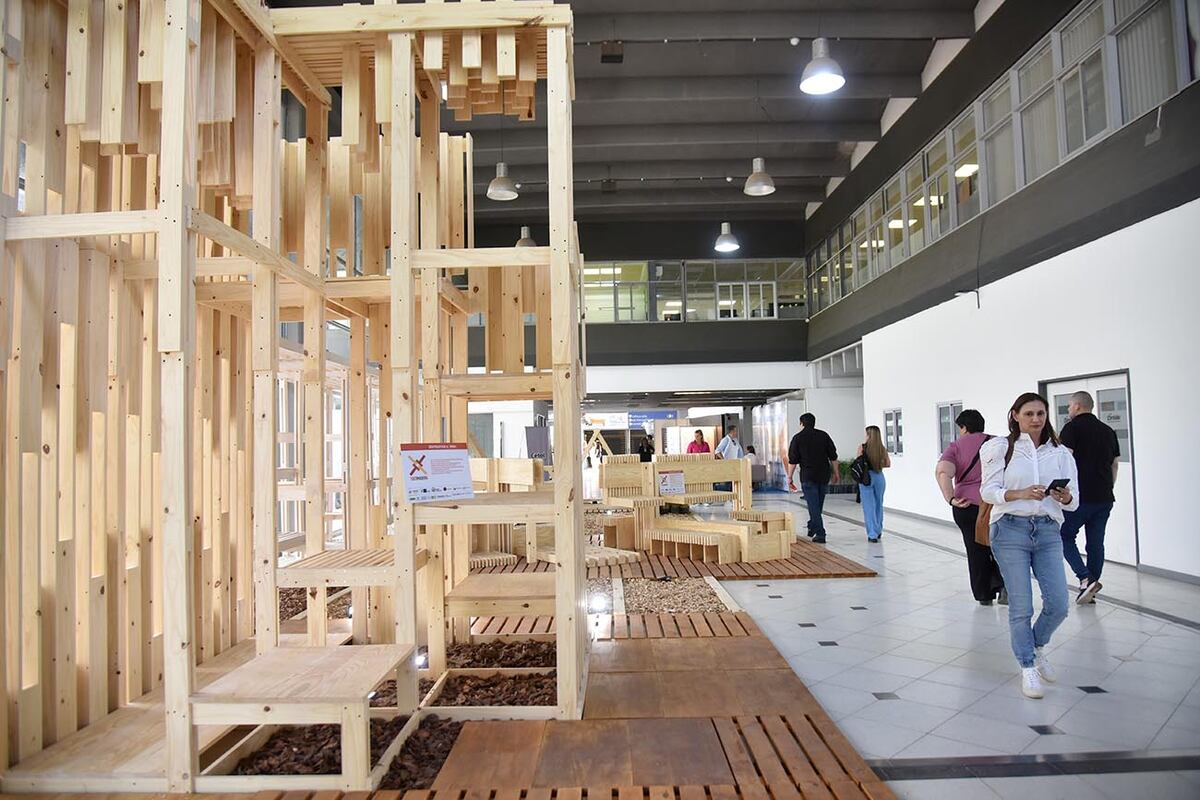 La intervención Toco Madera, realizada por alumnos de la Facultad de Arquitectura, Urbanismo y Diseño de la UNC.